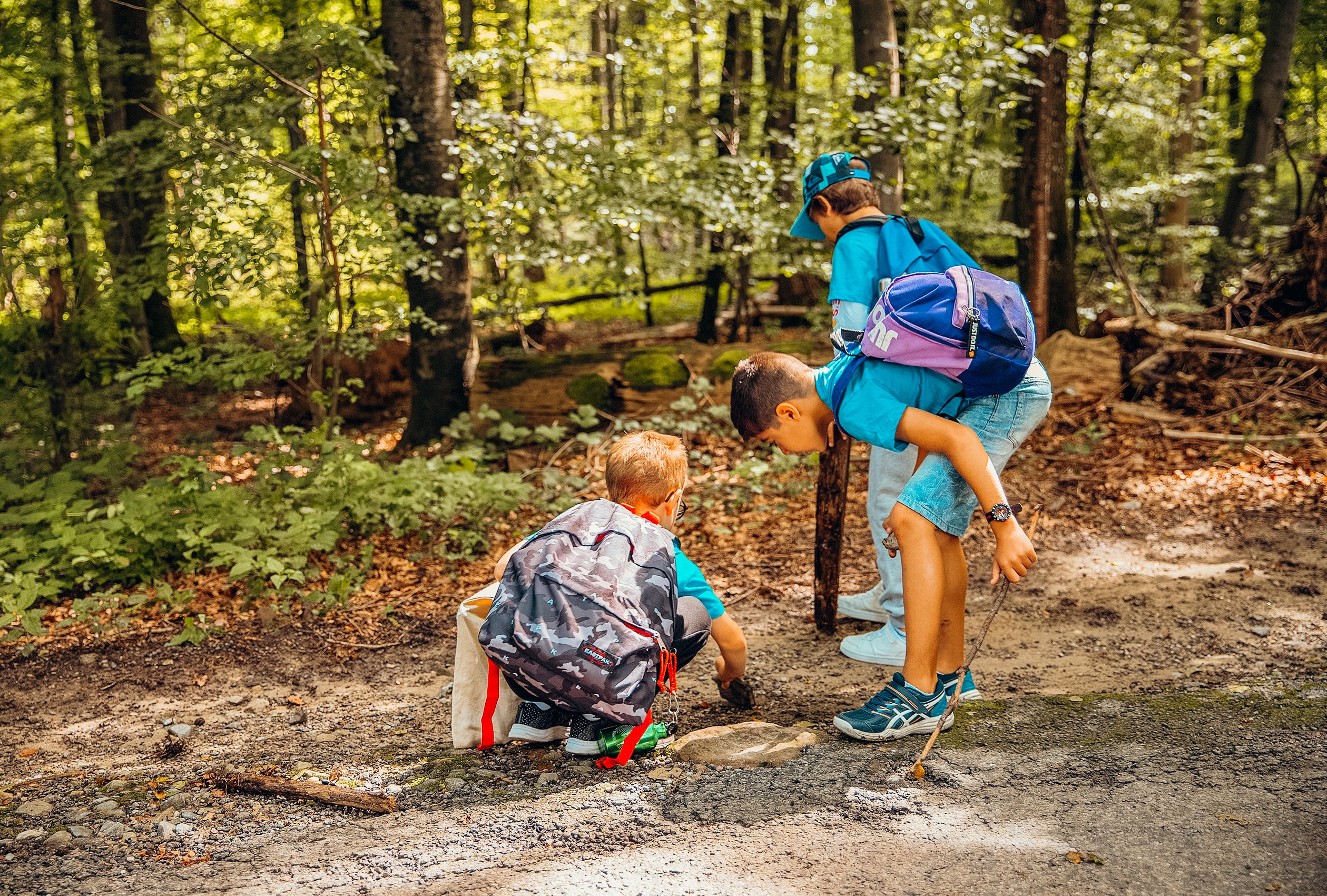 Camp Rookies - multi-activités, 6 à 8 ans